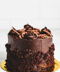chocolate fudge cake with rich chocolate frosting rolled in chocolate crumbs with chocolate shaving garnish