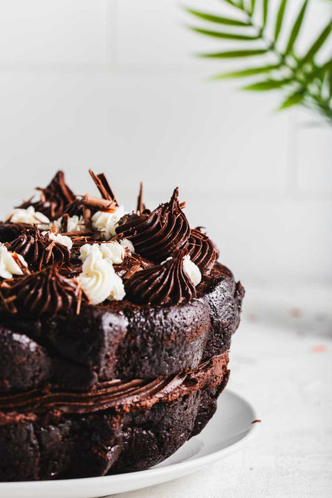 Side view of a cocoa bean bundt cake with rich chocolate frosting and decorative swirls on a white plate.