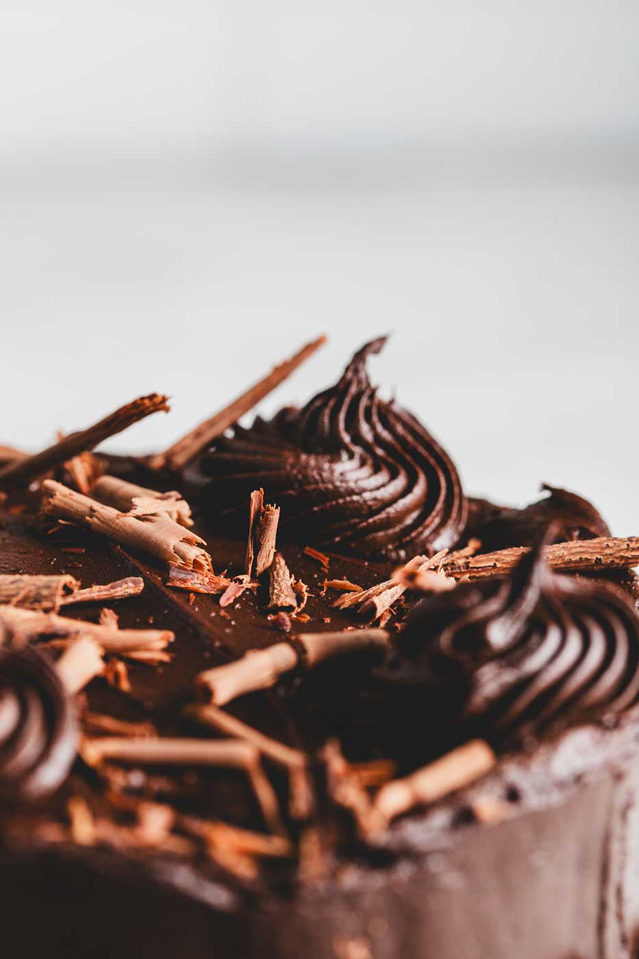 close up of chocolate fudge cake with rich chocolate frosting rolled in chocolate crumbs with chocolate shaving garnish