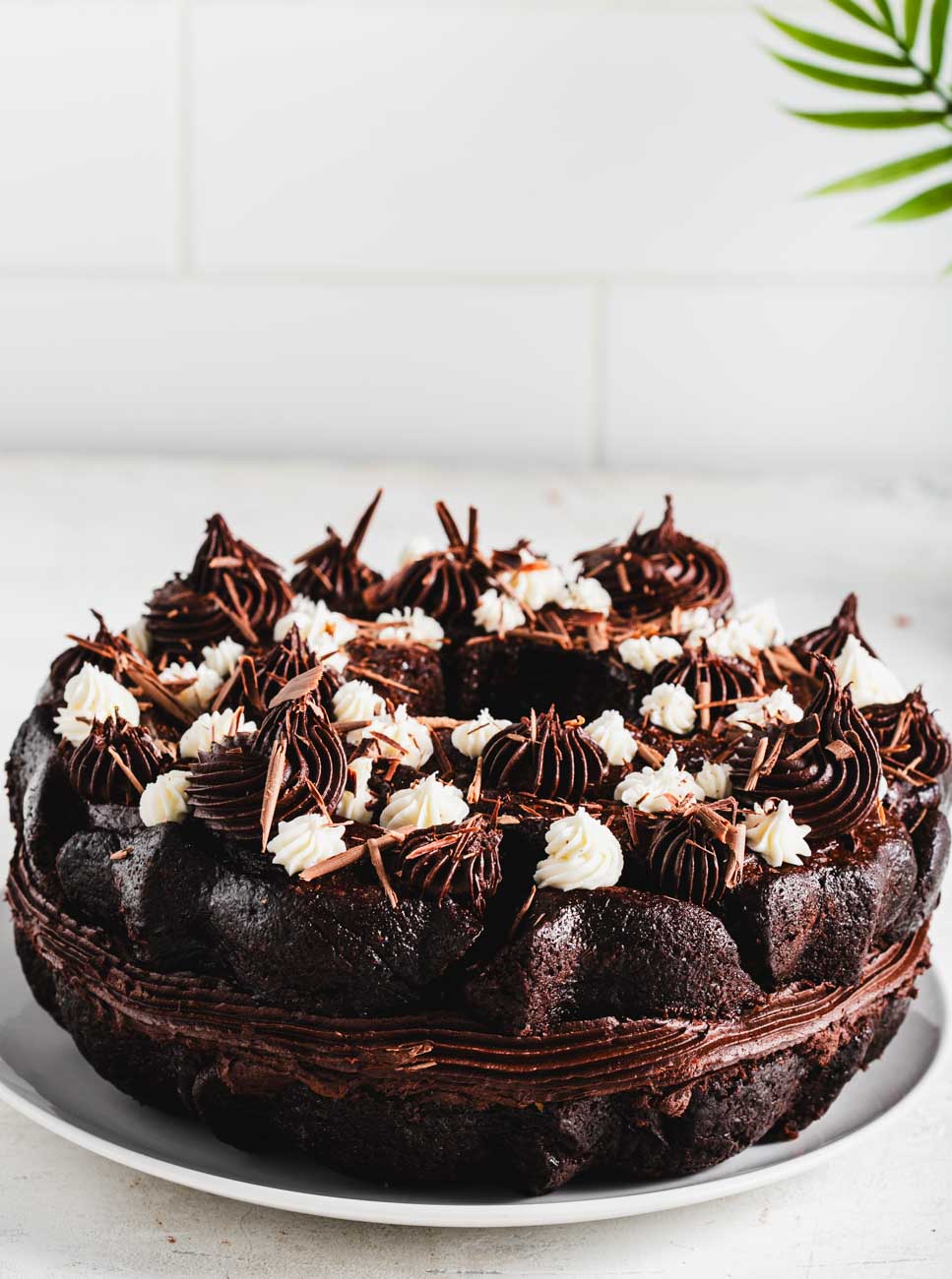 Front view of a cocoa bean bundt cake with layered chocolate frosting and decorative swirls on a white plate.
