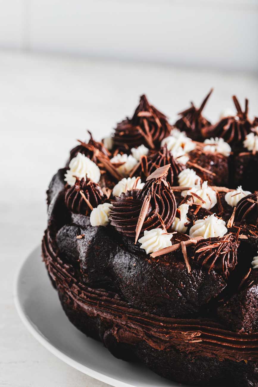 close up of a rich, moist looking cocoa bean bundt cake decorated with chocolate and vanilla frosting swirls and chocolate shavings on a white plate.