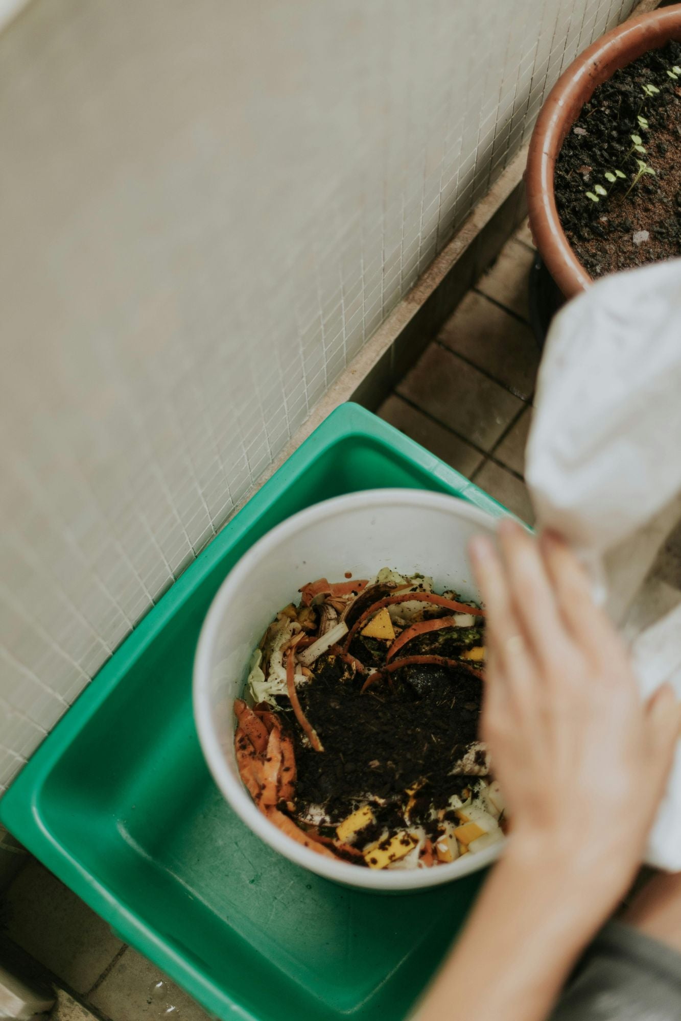 A person holding a white bag above a compost bucket inside a green bin